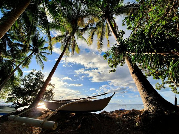 Assurance pour croisière festive : un élément essentiel ou simplement un bonus ?